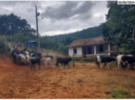 Fazenda c/ 396,05ha - Crisólita/MG