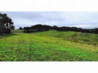Sítio c/ 12,10 hectares na Linha Santa Lucia
