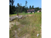 50% - Terreno c/ 559.171,00m² - Rua SFS 455