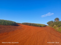 Fazenda c/ 263,1455 hectares - Maracaju/MS, localizado em Maracaju - MS