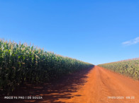 Fazenda c/ 263,1455 hectares - Maracaju/MS, localizado em Maracaju - MS