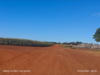 Fazenda c/ 263,1455 hectares - Maracaju/MS, localizado em Maracaju - MS