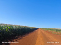 Fazenda c/ 263,1455 hectares - Maracaju/MS, localizado em Maracaju - MS