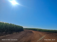 Fazenda c/ 263,1455 hectares - Maracaju/MS, localizado em Maracaju - MS