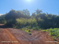 Fazenda c/ 263,1455 hectares - Maracaju/MS, localizado em Maracaju - MS