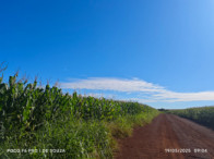 Fazenda c/ 263,1455 hectares - Maracaju/MS, localizado em Maracaju - MS