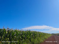 Fazenda c/ 263,1455 hectares - Maracaju/MS, localizado em Maracaju - MS