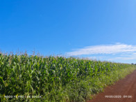 Fazenda c/ 263,1455 hectares - Maracaju/MS, localizado em Maracaju - MS