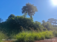 Fazenda c/ 263,1455 hectares - Maracaju/MS, localizado em Maracaju - MS
