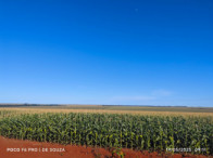 Fazenda c/ 263,1455 hectares - Maracaju/MS, localizado em Maracaju - MS