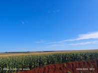 Fazenda c/ 263,1455 hectares - Maracaju/MS, localizado em Maracaju - MS