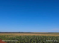 Fazenda c/ 263,1455 hectares - Maracaju/MS, localizado em Maracaju - MS