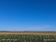 Fazenda c/ 263,1455 hectares - Maracaju/MS, localizado em Maracaju - MS