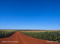 Fazenda c/ 263,1455 hectares - Maracaju/MS, localizado em Maracaju - MS