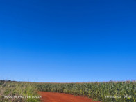 Fazenda c/ 263,1455 hectares - Maracaju/MS, localizado em Maracaju - MS