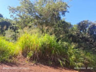 Fazenda c/ 263,1455 hectares - Maracaju/MS, localizado em Maracaju - MS