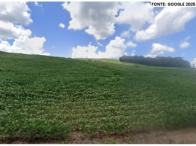 Sítio c/ aprox. 16,84 hectares - Estação/RS, localizado em Estação - RS