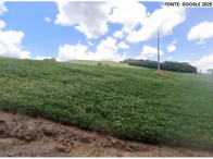 Sítio c/ aprox. 16,84 hectares - Estação/RS, localizado em Estação - RS