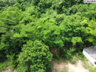 Terreno Rural - 155.600m² c/ benfeitorias - Nova Venécia/ES, localizado em Nova Venécia - ES
