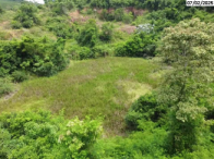 Terreno Rural - 155.600m² c/ benfeitorias - Nova Venécia/ES, localizado em Nova Venécia - ES