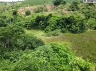 Terreno Rural - 155.600m² c/ benfeitorias - Nova Venécia/ES, localizado em Nova Venécia - ES