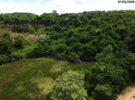 Terreno Rural - 155.600m² c/ benfeitorias - Nova Venécia/ES, localizado em Nova Venécia - ES
