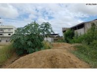 Lotes de Terreno c/ total aprox.de 1.141m² - Nova Venécia/ES, localizado em Nova Venécia - ES