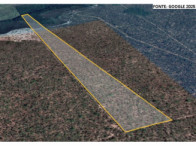 Sítio - 25 hectares - Palmeirante/TO, localizado em Palmeirante - TO