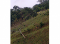 Parte ideal de 9,65 hectares - no lugar Salto do Itajaí