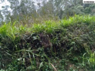 Imagem do imóvel Parte ideal de Sítio c/ 9,65 hectares - Salto do Itajaí