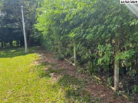 Parte Ideal 50% - Terreno - 24.182,62m² - Bauru/SP, localizado em Bauru - SP