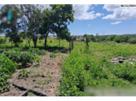 Chácara c/ 6,05 hectares - são mateus/es