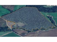 Sítio - 31,36 hectares - Fernandes Pinheiro/PR