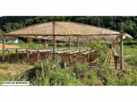 Sítio c/ 42 hectares - Santa Maria de Jetibá/ES, localizado em Santa Maria De Jetibá - ES