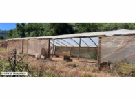 Sítio c/ 42 hectares - Santa Maria de Jetibá/ES, localizado em Santa Maria De Jetibá - ES