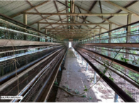 Sítio c/ 42 hectares - Santa Maria de Jetibá/ES, localizado em Santa Maria De Jetibá - ES