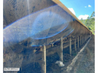 Sítio c/ 42 hectares - Santa Maria de Jetibá/ES, localizado em Santa Maria De Jetibá - ES