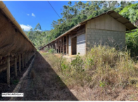 Sítio c/ 42 hectares - Santa Maria de Jetibá/ES, localizado em Santa Maria De Jetibá - ES