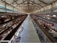 Sítio c/ 42 hectares - Santa Maria de Jetibá/ES, localizado em Santa Maria De Jetibá - ES