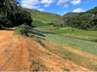 Sítio c/ 42 hectares - Santa Maria de Jetibá/ES, localizado em Santa Maria De Jetibá - ES