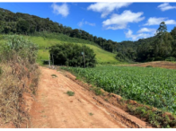 Sítio c/ 42 hectares - Santa Maria de Jetibá/ES, localizado em Santa Maria De Jetibá - ES
