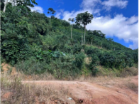 Sítio c/ 42 hectares - Santa Maria de Jetibá/ES, localizado em Santa Maria De Jetibá - ES