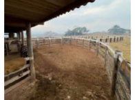 Fazenda - 4.356 hectares - São Félix do Xingu/PA, localizado em São Félix Do Xingu - PA