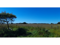 Sítio c/ 79,72ha c/ benfeitorias -Pedro Teixeira -Rod.BR 471, localizado em Santa Vitória Do Palmar - RS