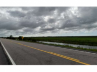 Fração ideal de 50% - 138,34ha - Rod. BR 471 - Curral Alto, localizado em Rio Grande - RS