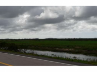 Fração ideal de 50% - 138,34ha - Rod. BR 471 - Curral Alto, localizado em Rio Grande - RS