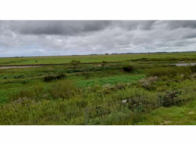 Fração ideal de 50% - 138,34ha - Rod. BR 471 - Curral Alto, localizado em Rio Grande - RS