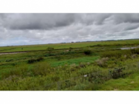 Fração ideal de 50% - 138,34ha - Rod. BR 471 - Curral Alto, localizado em Rio Grande - RS