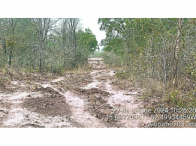 Parte ideal -Fazenda -2.481,25ha - Casas -Barra do Garças/MT, localizado em Barra Do Garças - MT