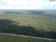 Fazenda c/ 232,40 hectares - Faz. Sulina - Brasnorte/MT, localizado em Brasnorte - MT